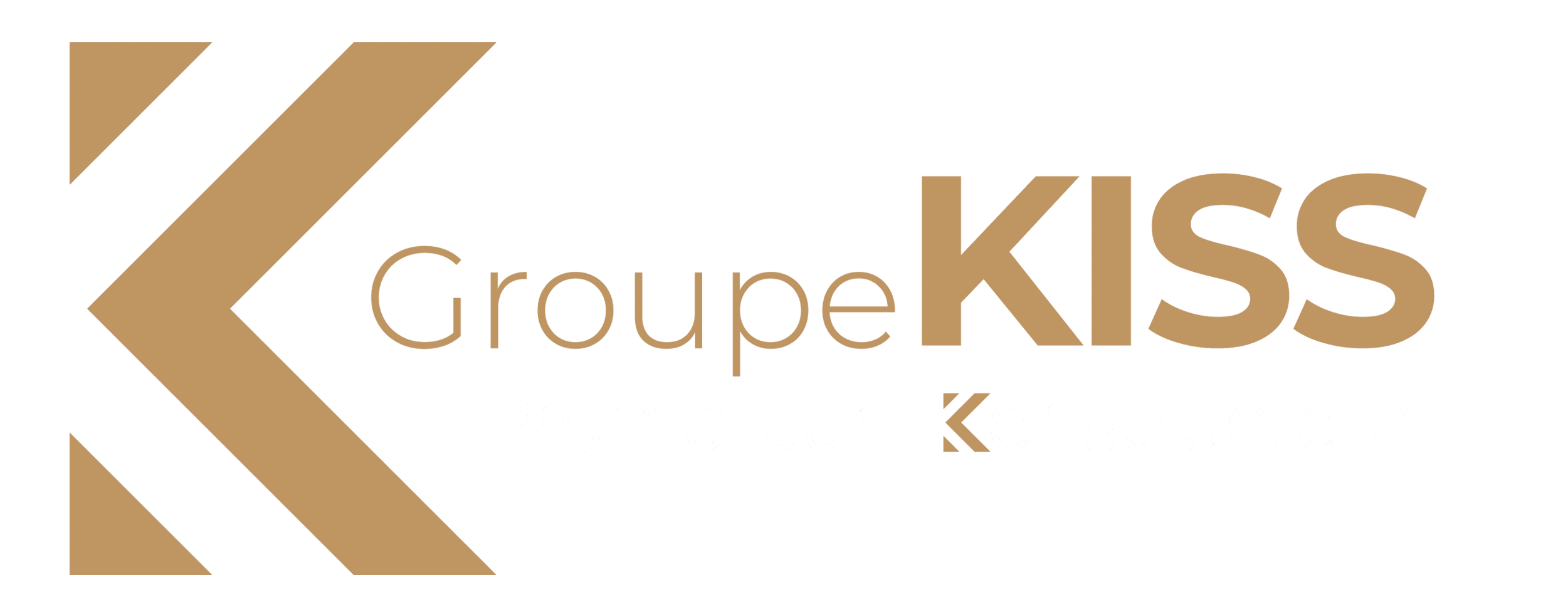 logo_kiss_promoteur_konstructeur
